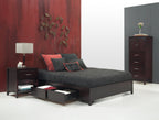 Modus Nevis Queen Simple Storage Bed in Espresso