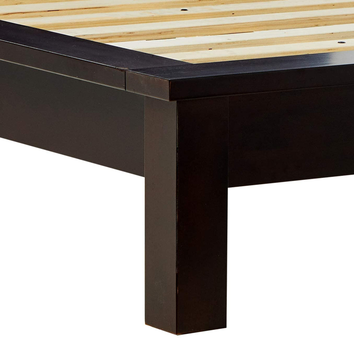 Modus Nevis Full Veneto Platform Bed in Espresso